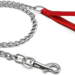 Correa de Cadena Paseo 4 MM