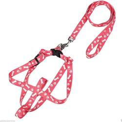 Correa c/ pretal patitas Grande