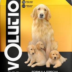 Evolution Adulto R P x 20 Kg (29% En Proteina) (A PEDIDO)