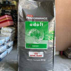 Performance Dog Ad x 20 kg