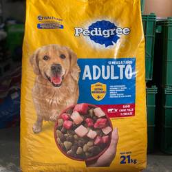 Pedigree Adulto x 21 kg +3KG GRATIS