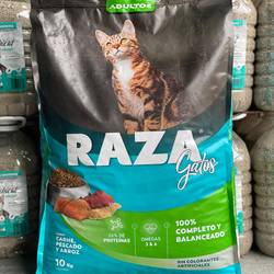 Raza Gato Mix x 10 kg