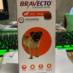 Bravecto 4,5 a 10 Kg