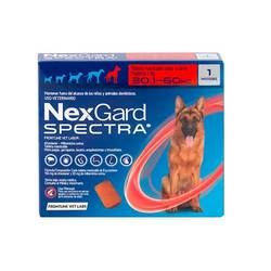 NEXGARD SPECTRA GG 30,1/60 KG