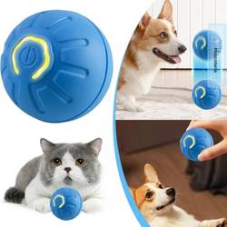 Pelota USB Perro