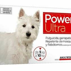 Power Dog 5 a 10 kg