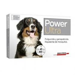 Power Dog de 41 a 60 kg