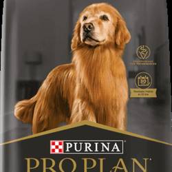 Pro Plan Active Mind (+7) X 15 Kg (A PEDIDO)