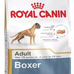 Royal Canin Boxer Adulto X 12 Kg (A PEDIDO)