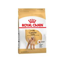 Royal Canin Caniche Adulto X 03 Kg