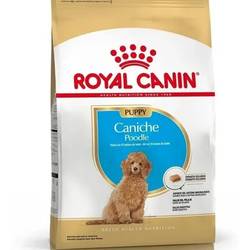 Royal Canin Caniche Junior X 3 Kg (A PEDIDO)