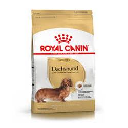 Royal Canin Dachshund Ad X 3 Kg