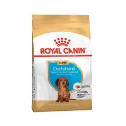 Royal Canin Dachshund Puppy X 3 Kg