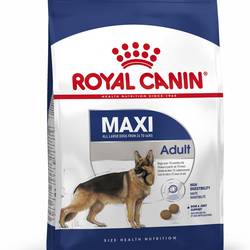 Royal Canin Maxi Adulto X 15 Kg