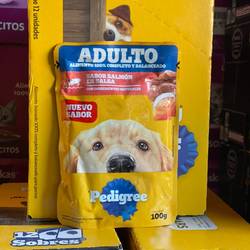 Caja Pouch Pedigree x 100 gr (12 Unidades) SALMON