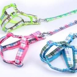 Correa Pretal Reforzado Nº3