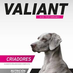VALIANT